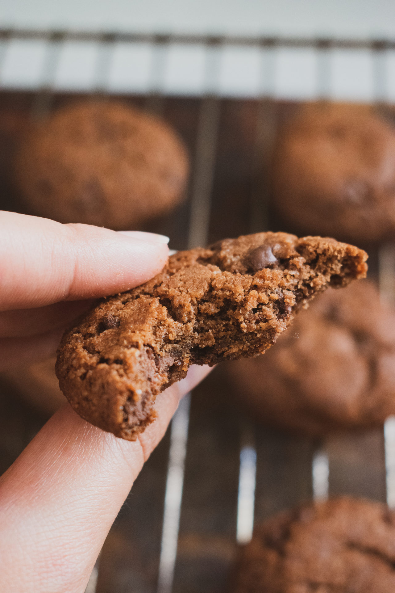 Chocolate Cookies with Chocolate Chips