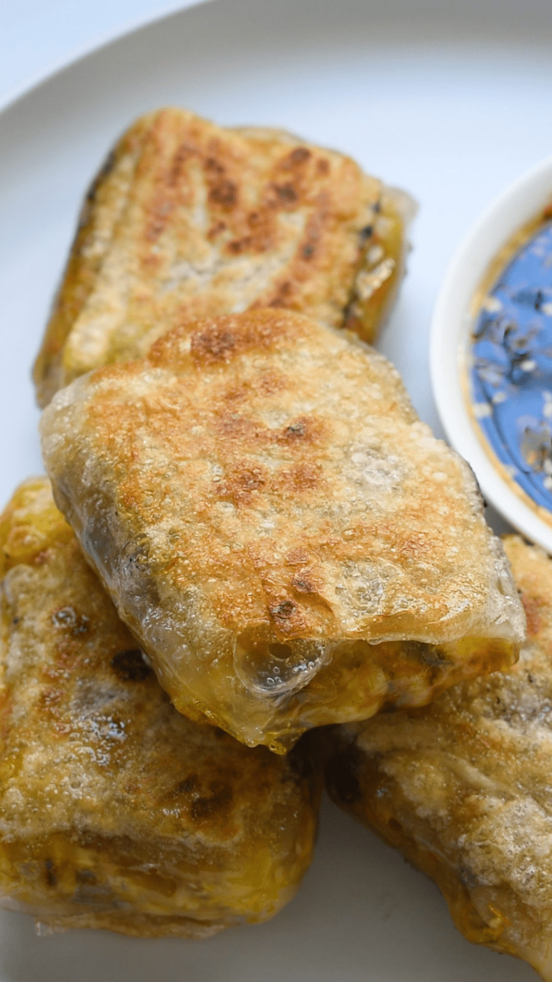 Crispy Rice Paper Dumplings